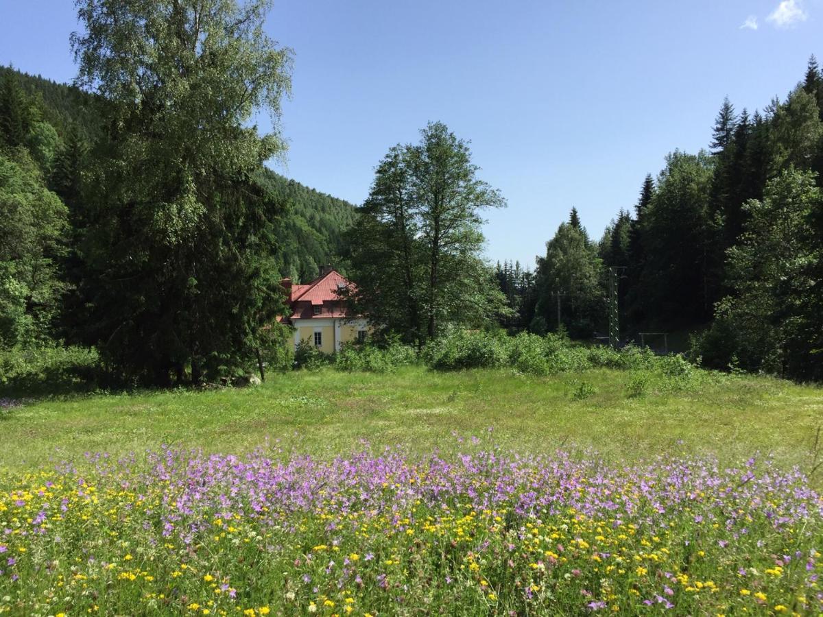 Horska Chata Pod Lanovkou Jachymov Bagian luar foto